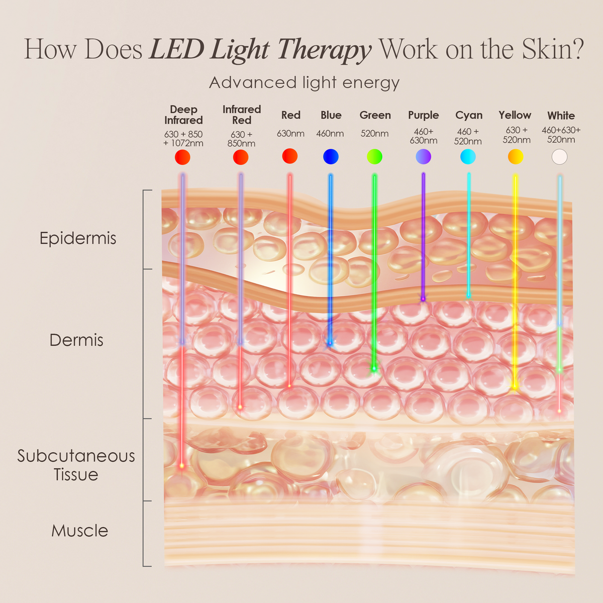 Hetrios Pro LED Light Therapy Mask - view 10