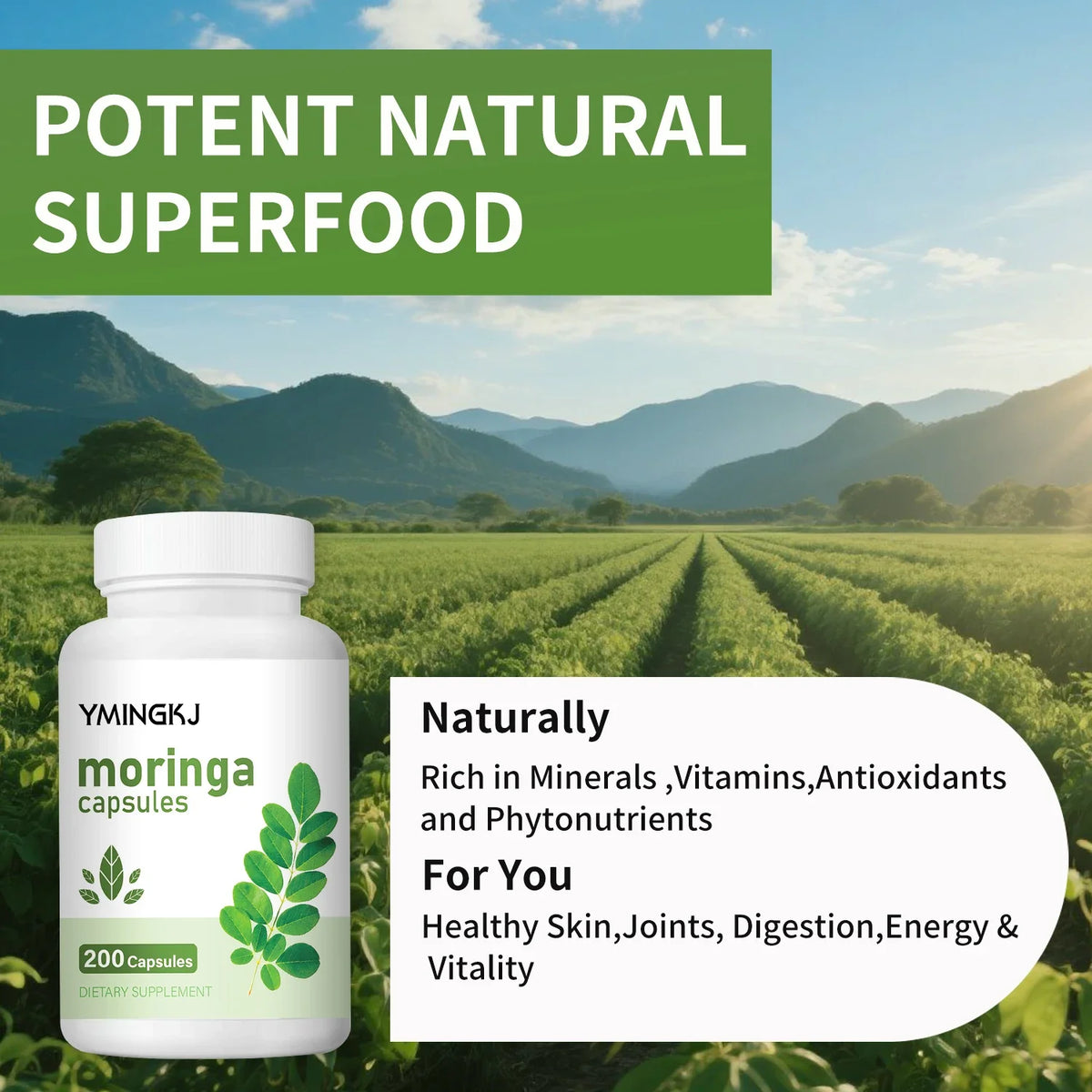 Daily Wellness Moringa Boost