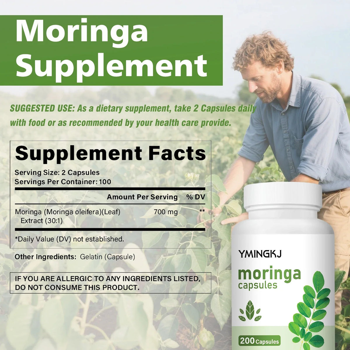 Daily Wellness Moringa Boost