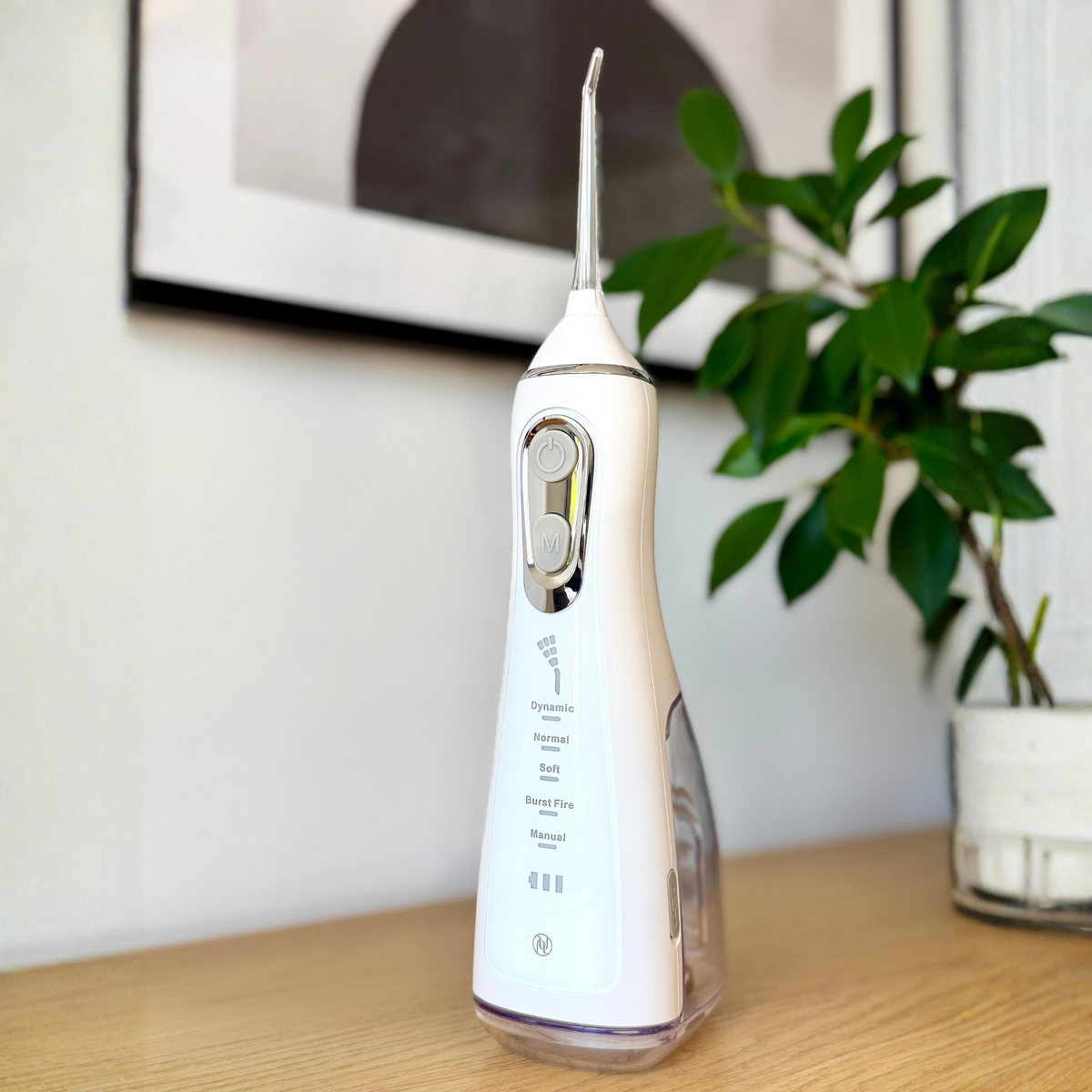 Hetrios Water Flosser